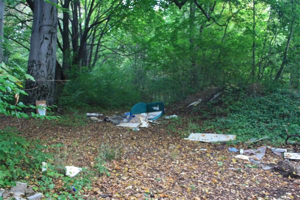 Sprzątanie Świdnicy bez danych. Kto, za ile i dlaczego bez pełnej odpowiedzi?